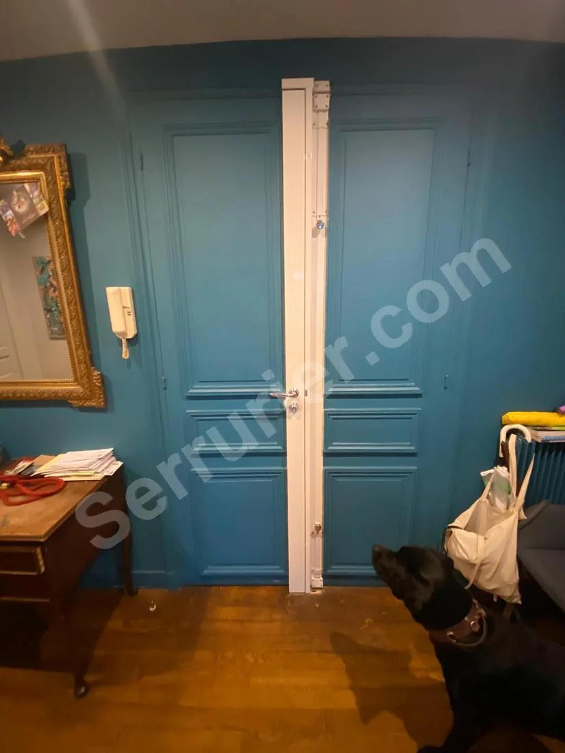 Serrure Picard Ermetis A2P Paire De Verrous Baillonettes Paris 5 2